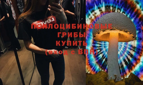 Альфа ПВП Балабаново