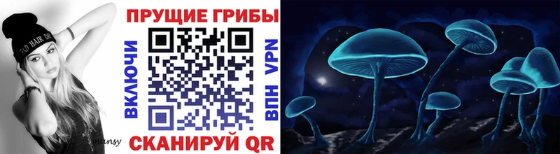 Псилоцибиновые грибы Cubensis  Кондопога 